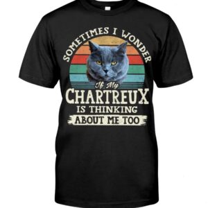 Cat Shirt - Sometimes I Wonder If My Chartreux Is Thinking About Me Too