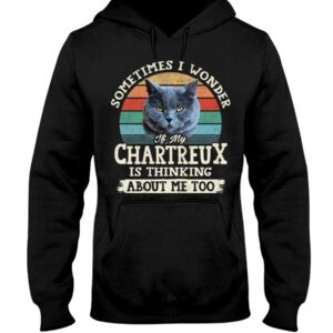 Cat Shirt - Sometimes I Wonder If My Chartreux Is Thinking About Me Too