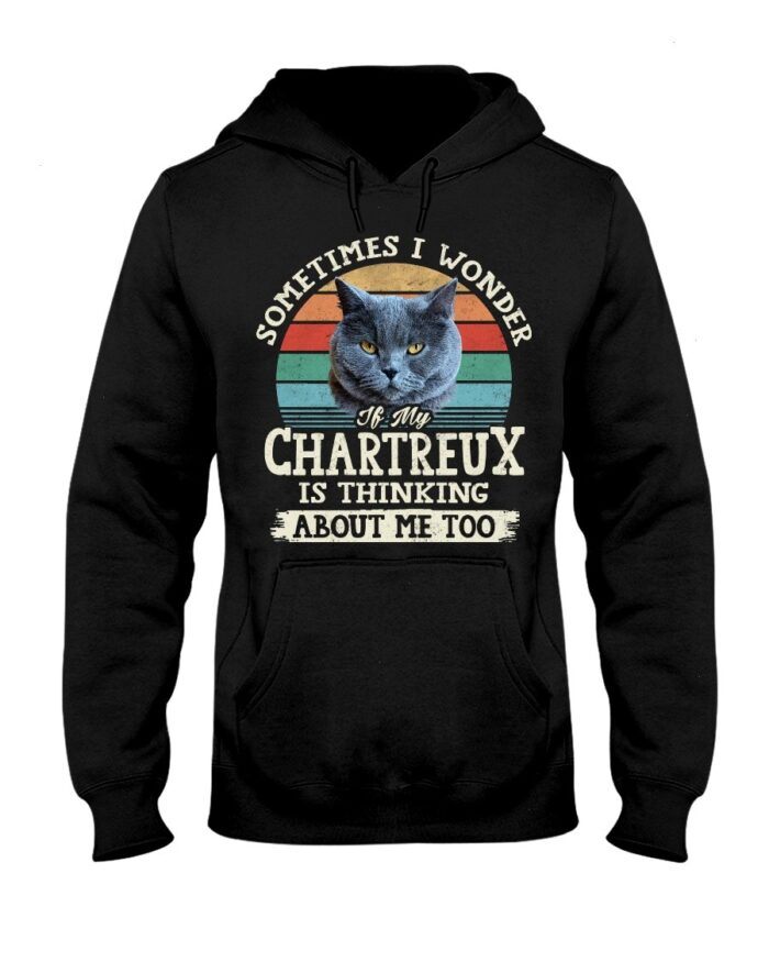 Cat Shirt - Sometimes I Wonder If My Chartreux Is Thinking About Me Too