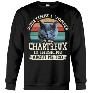 Cat Shirt - Sometimes I Wonder If My Chartreux Is Thinking About Me Too