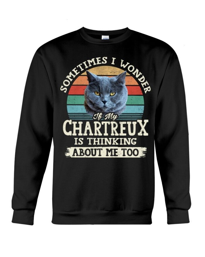 Cat Shirt - Sometimes I Wonder If My Chartreux Is Thinking About Me Too