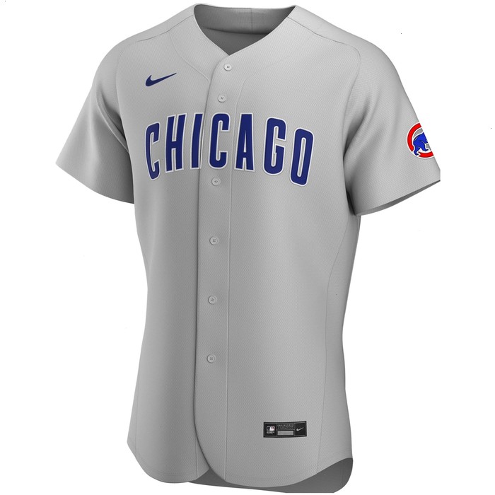 Chicago Cubs Nike Road Authentic Team Jersey - Gray