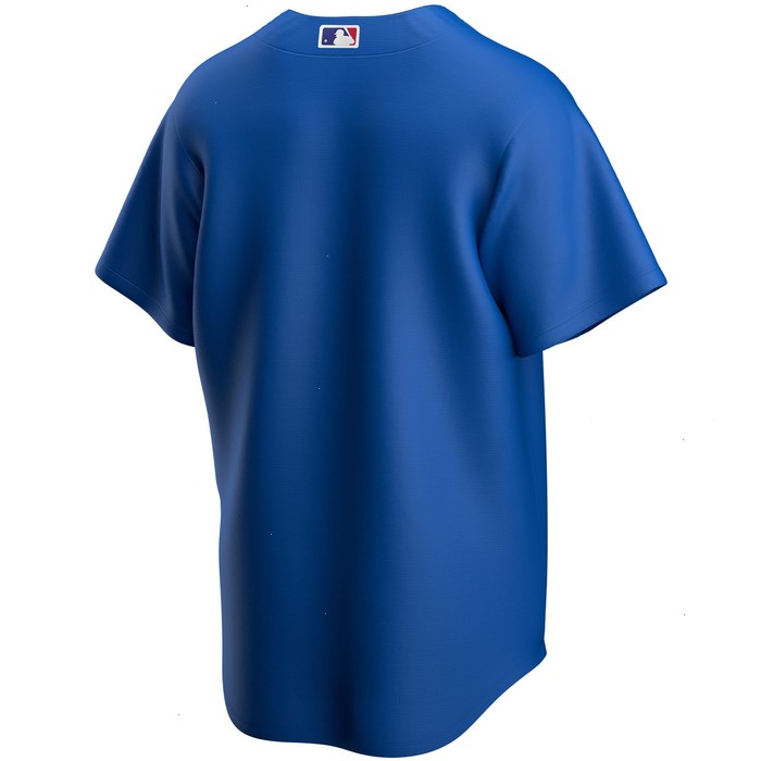 Chicago Cubs Nike Youth Alternate Replica Team Jersey - Royal