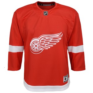 Detroit Red Wings Youth Home Blank Premier Jersey - Red