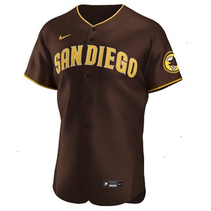 Fernando Tatís Jr. San Diego Padres Nike Road Authentic Player Jersey - Brown