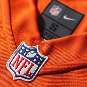 Ryan Clady Denver Broncos Nike Youth Team Color Game Jersey - Orange