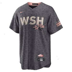 Washington Nationals Nike City Connect Replica Team Jersey - Gray