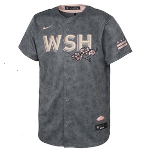 Washington Nationals Nike Infant 2022 City Connect Replica Jersey - Gray