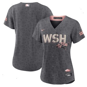 Washington Nationals Nike Women's City Connect Replica Team Jersey - Gray