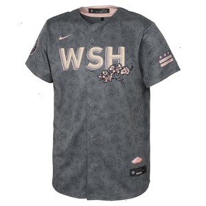 Washington Nationals Nike Youth 2022 City Connect Replica Jersey - Gray